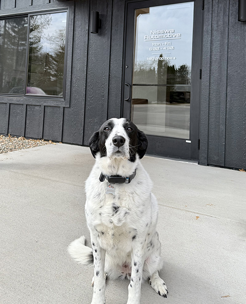 Brandon Langenfeld, Technician